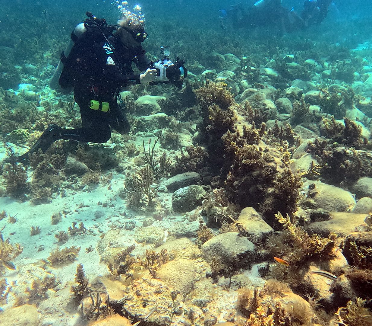 A close up of several shipwreck fragments at the bottom of the seafloor.