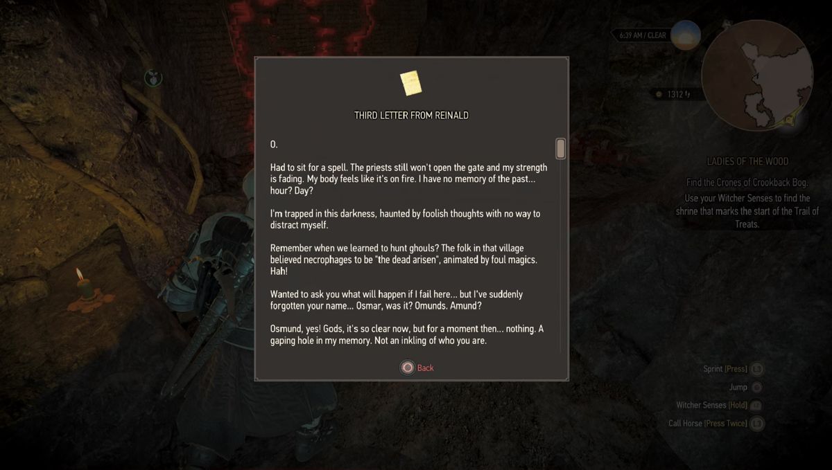 The witcher 3 reinald's letters