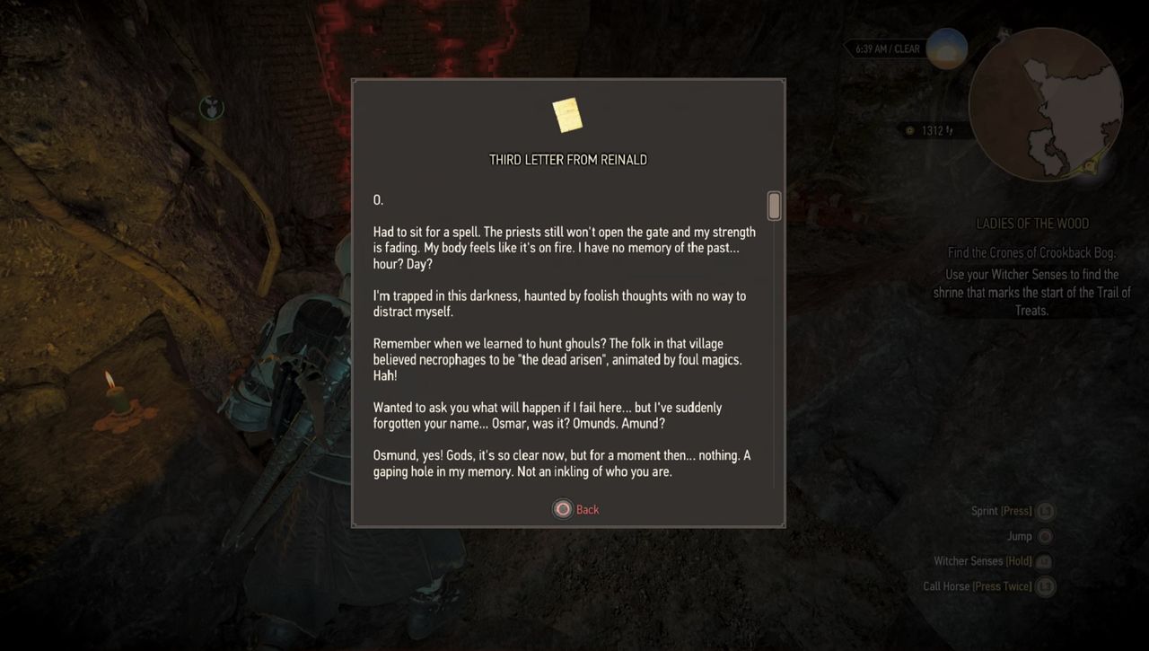 The witcher 3 reinald's letters