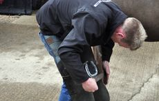 CORRECTIVE-SHOEING-P3-fracture.jpg