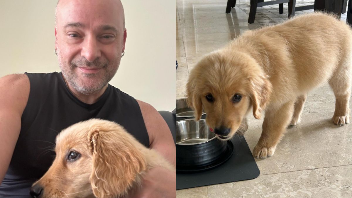 David Draiman and his puppy, Charlotte