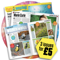 Science+Nature 3 issues for £5 offer