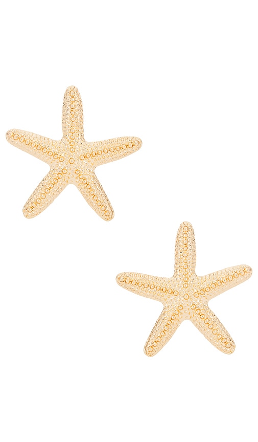 Aqua Starfish Stud Earrings