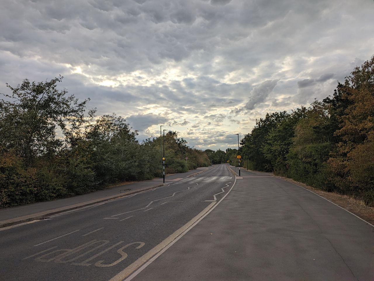 Google Pixel 11 sample photos