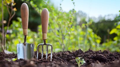 Hand trowel and garden fork in soil 