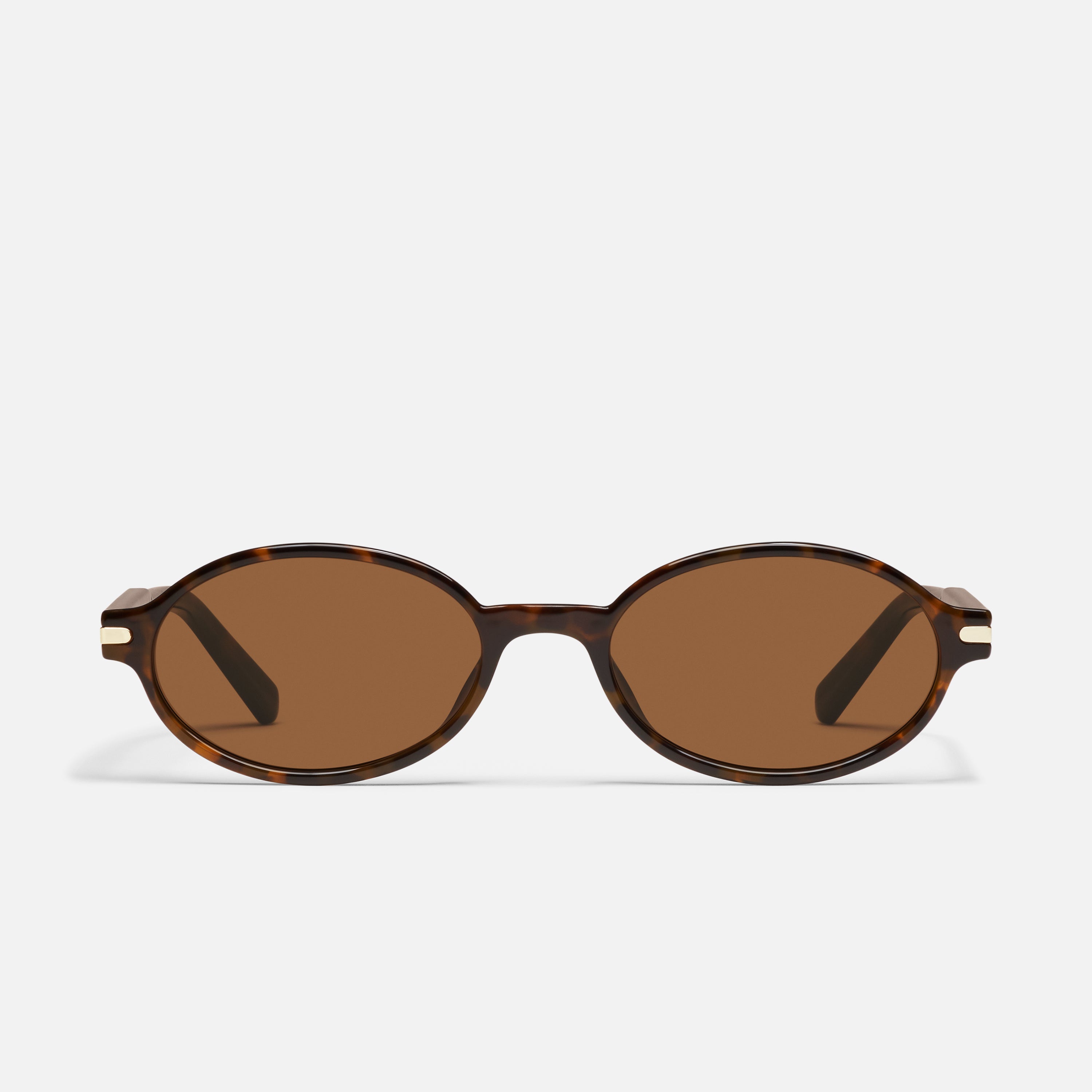 Nevermind Dark Tort/brown