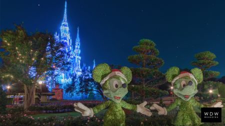 Walt Disney World