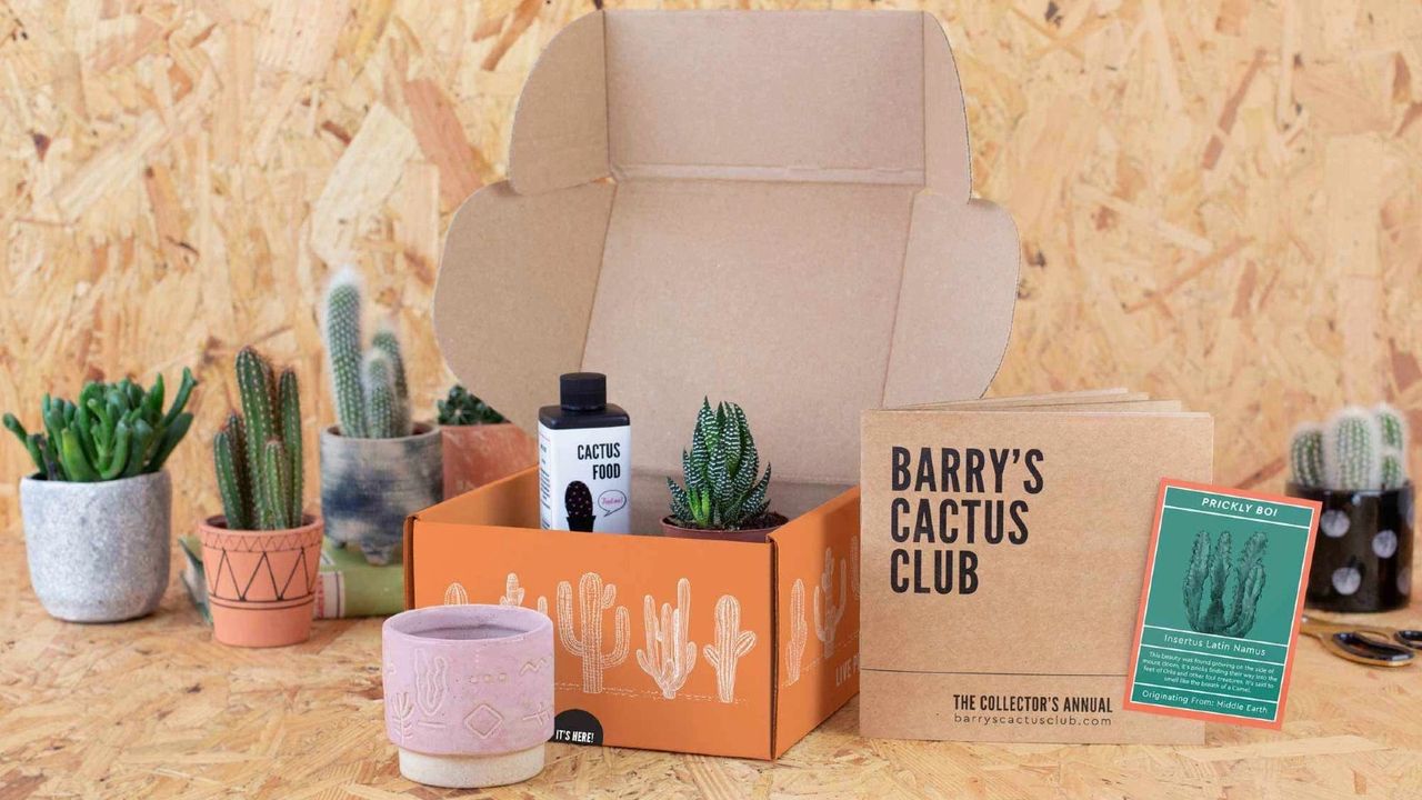 Barry&#039;s Cactus Club full set of Hard-to-kill subscription plants