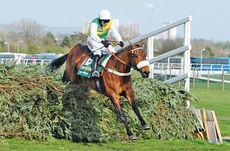 Jason Maguire on Ballabriggs wins the Grand National