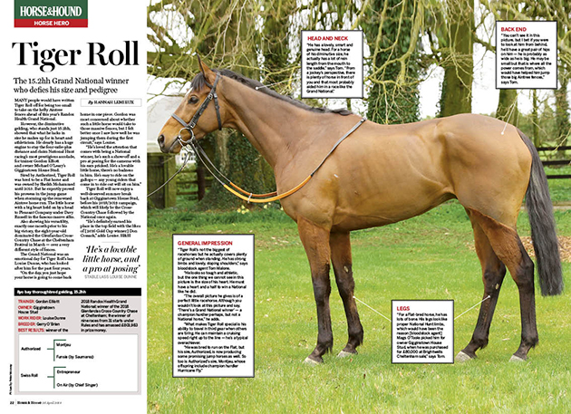 FT 2pp Horse Hero Grand National
