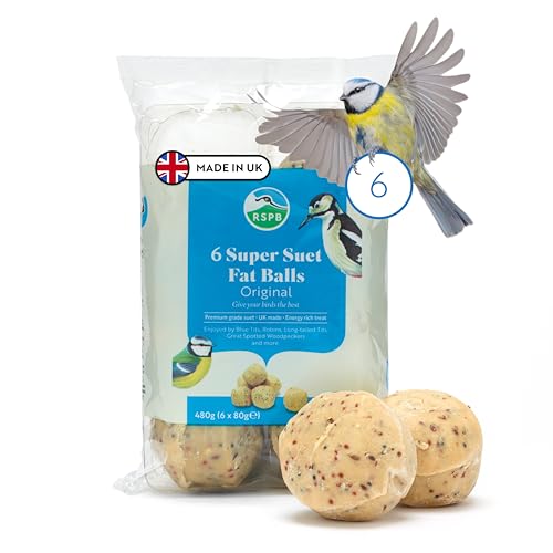 Rspb - Fat Balls, Bird Food for Outside Birds, High Energy Suet Balls, Made in the Uk, Delicious and Nutritious, Suitable for Year-Round Feeding (6 Pack)