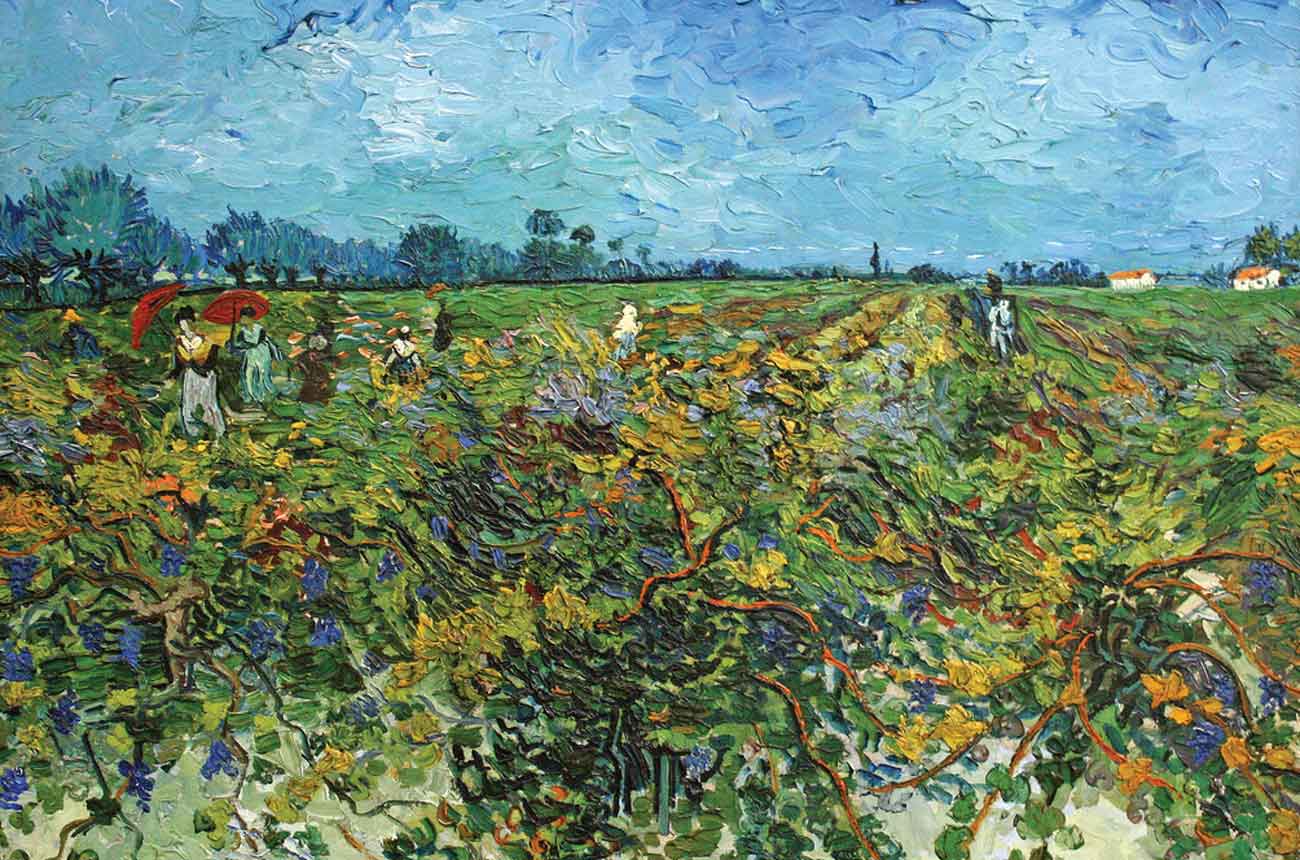 van gogh the green vineyard