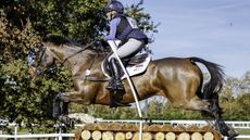 Ros Canter Zenshera