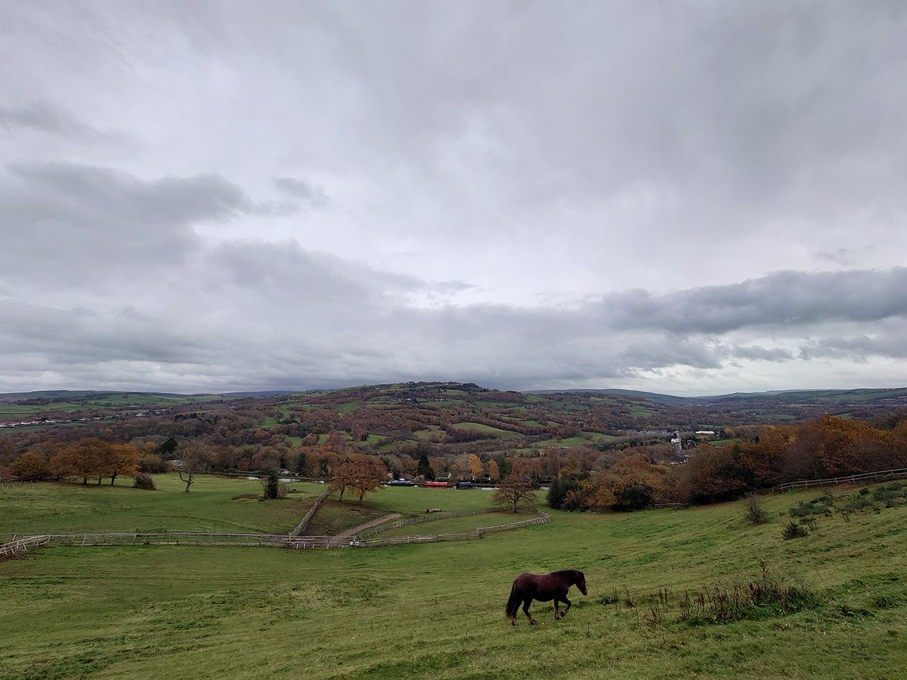 Sony Xperia 5 II camera sample