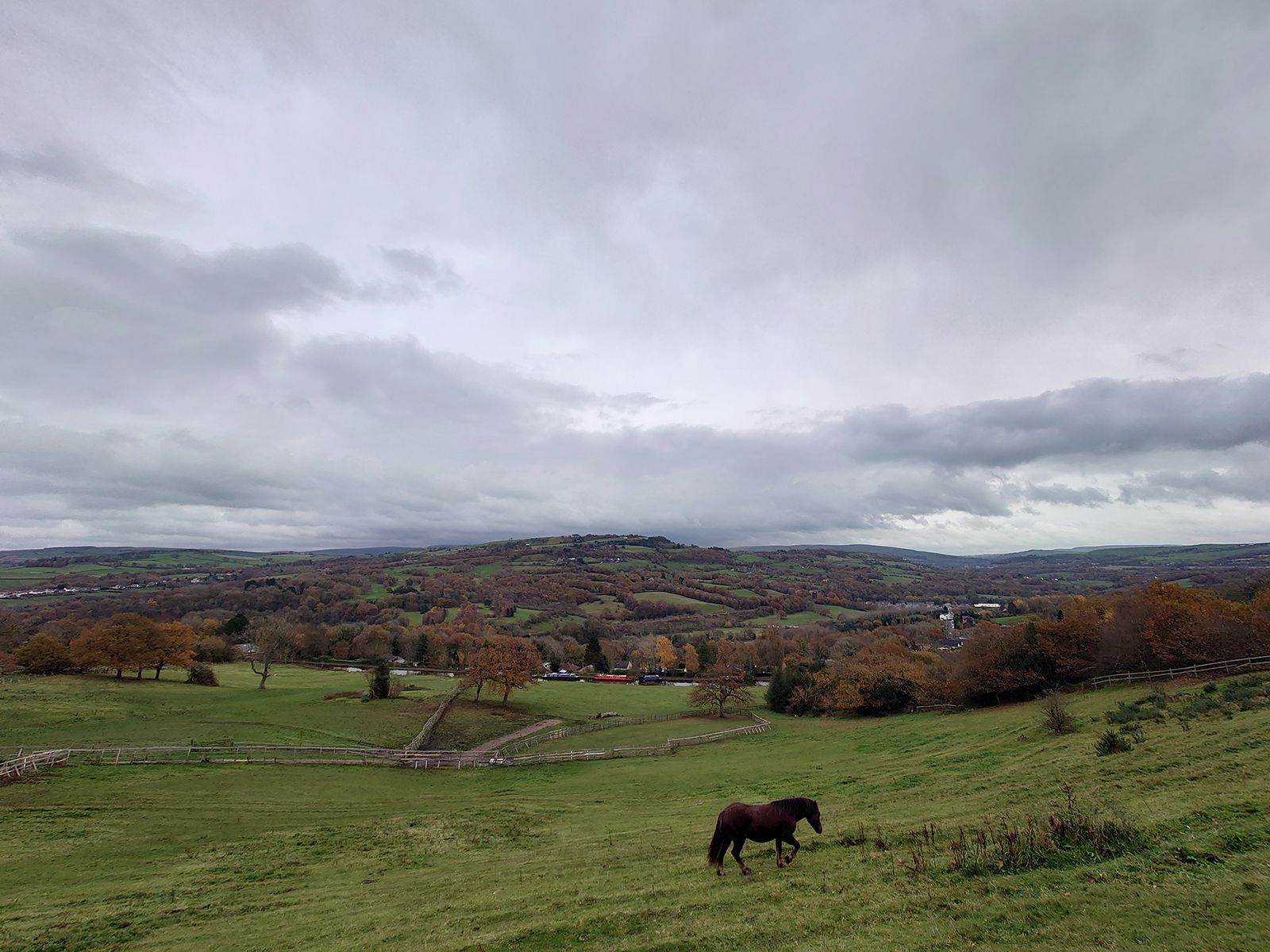 Sony Xperia 5 II camera sample