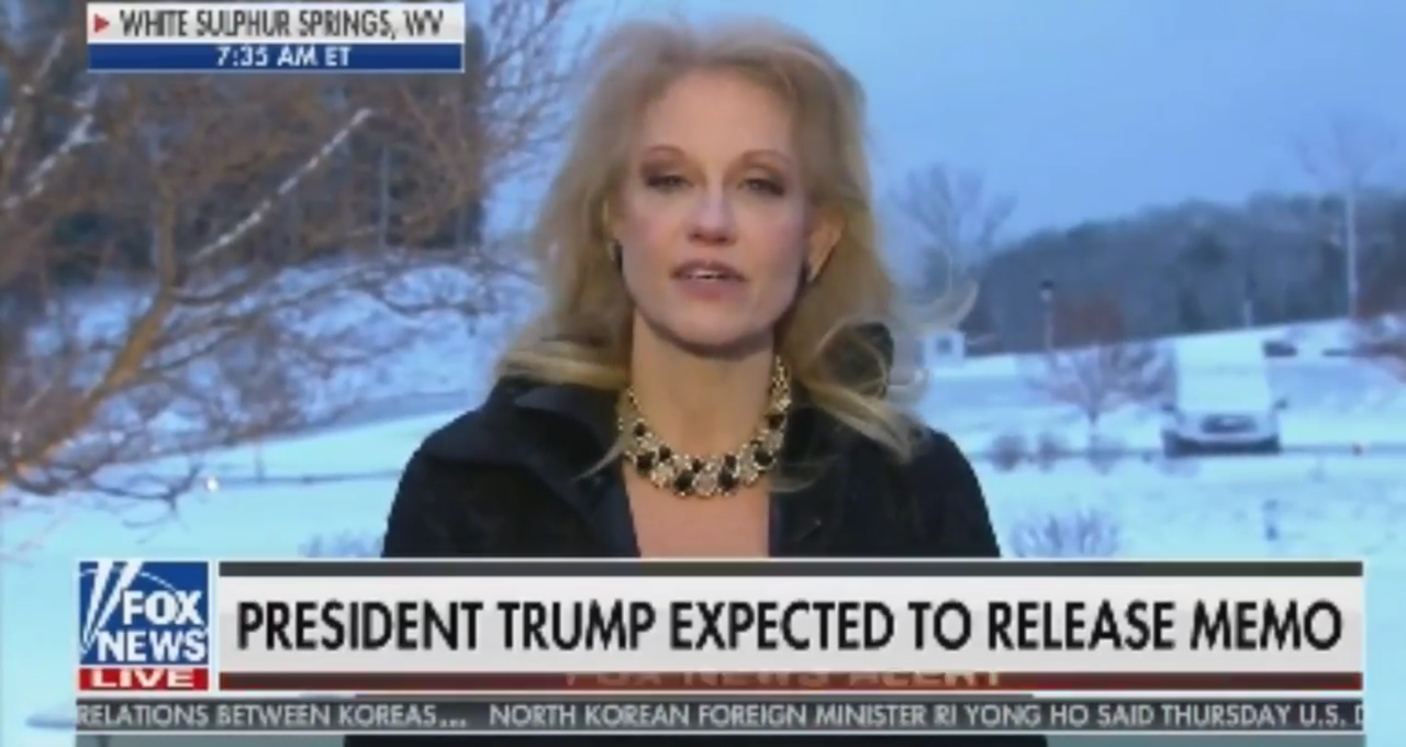 Kellyanne Conway speaks on Fox News. 