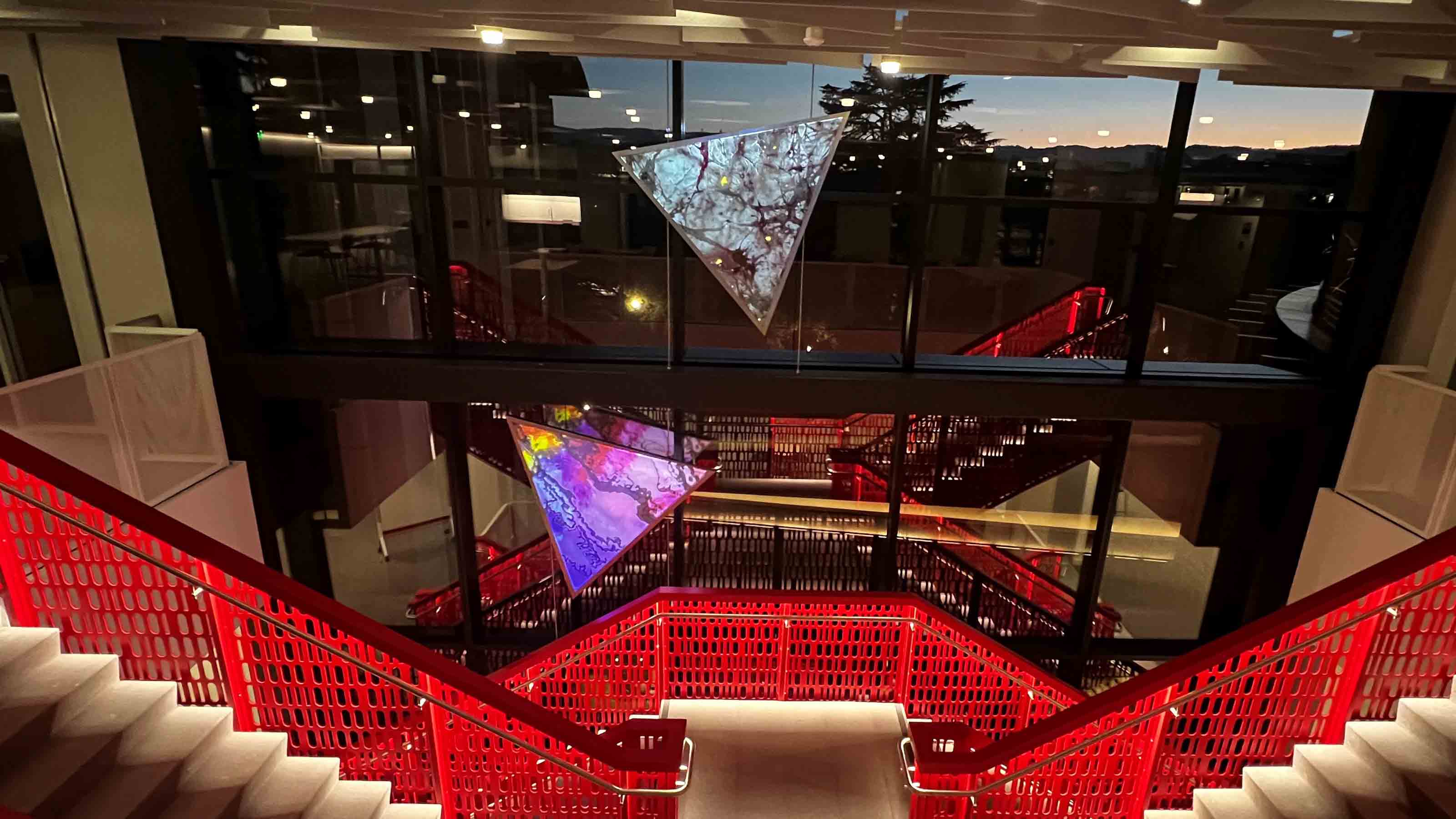 Digital Art Installation at CoDa