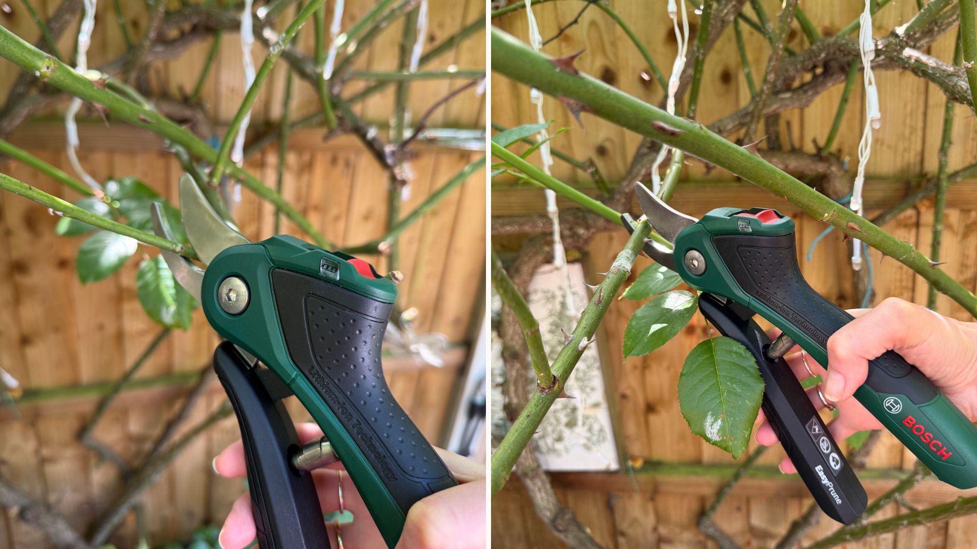 Bosch EasyPrune cordless garden secateurs