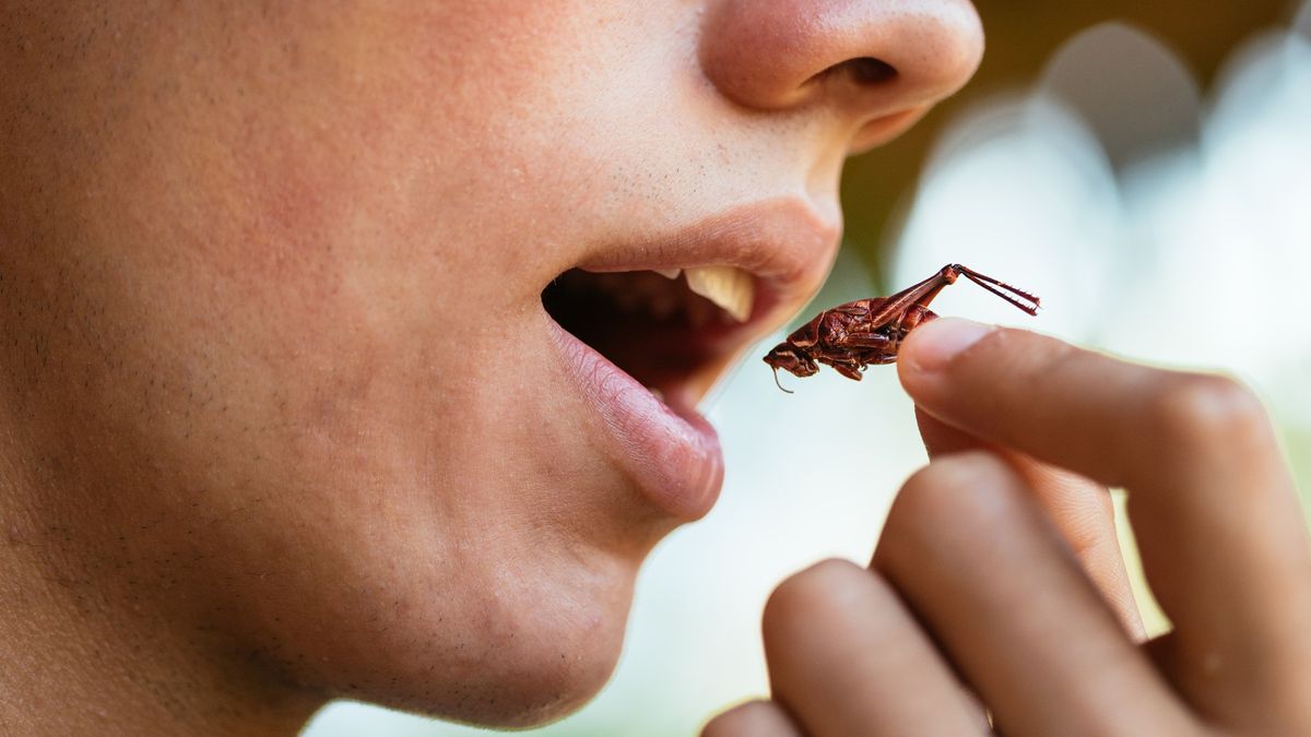 Man eating a cricket