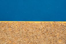 Grain on the background of the flag of Ukraine