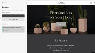 Squarespace's website builder's custom domain options