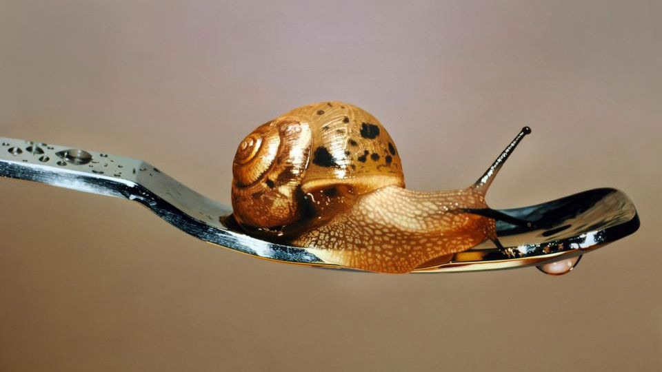 Artist's hyperrealistic paintings will amaze you Creative Bloq