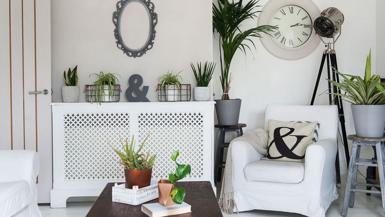 White living room with white armchair next to radiator cover and lots of houseplants