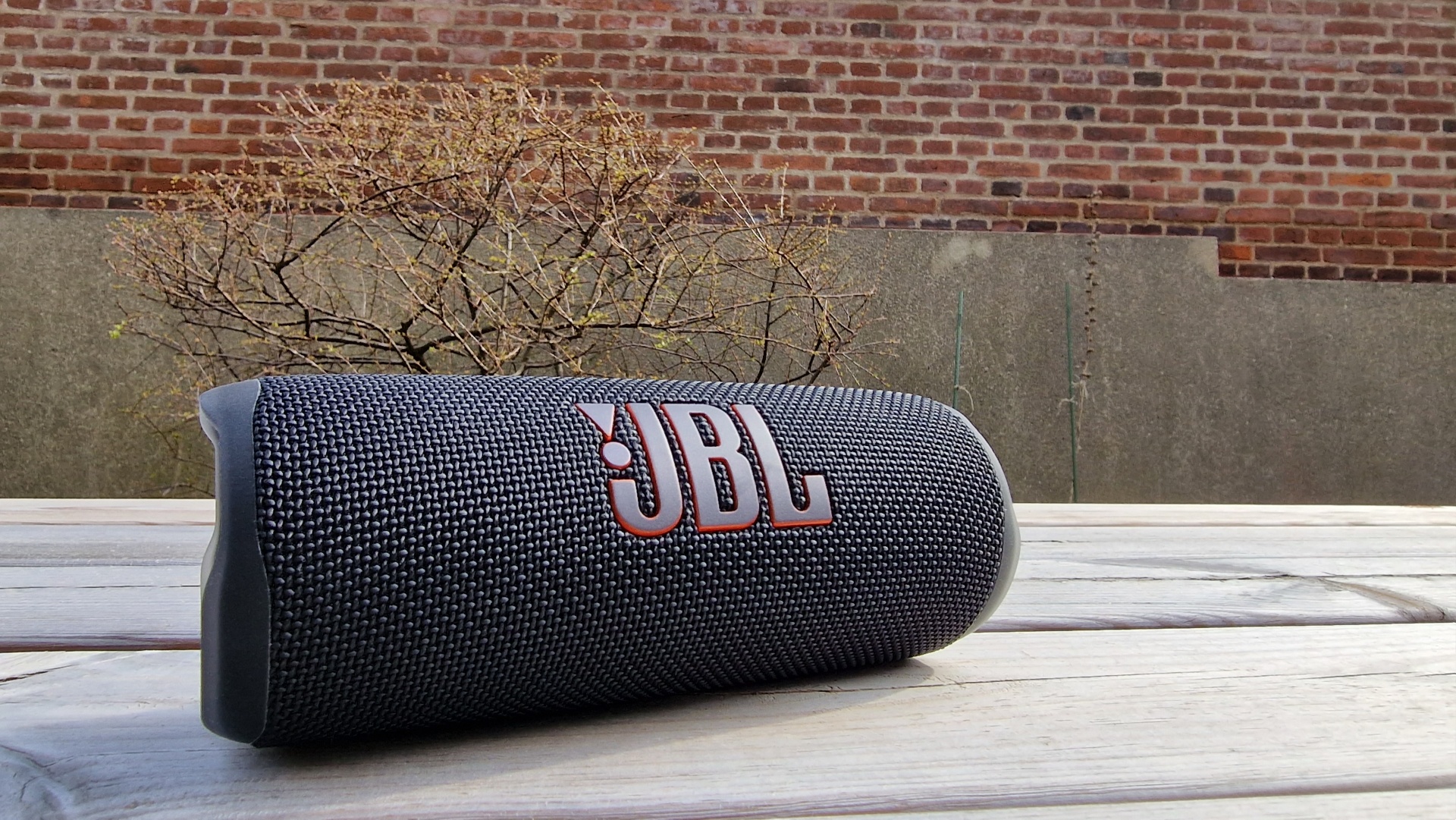 JBL Flip 6