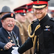Prince Harry greets military veteran