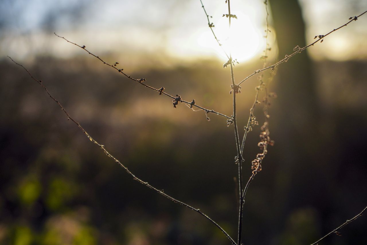 Sony Alpha A6400 with FE 24-70mm f/4 ZA OSS, 1/800 sec at f/4, ISO100
