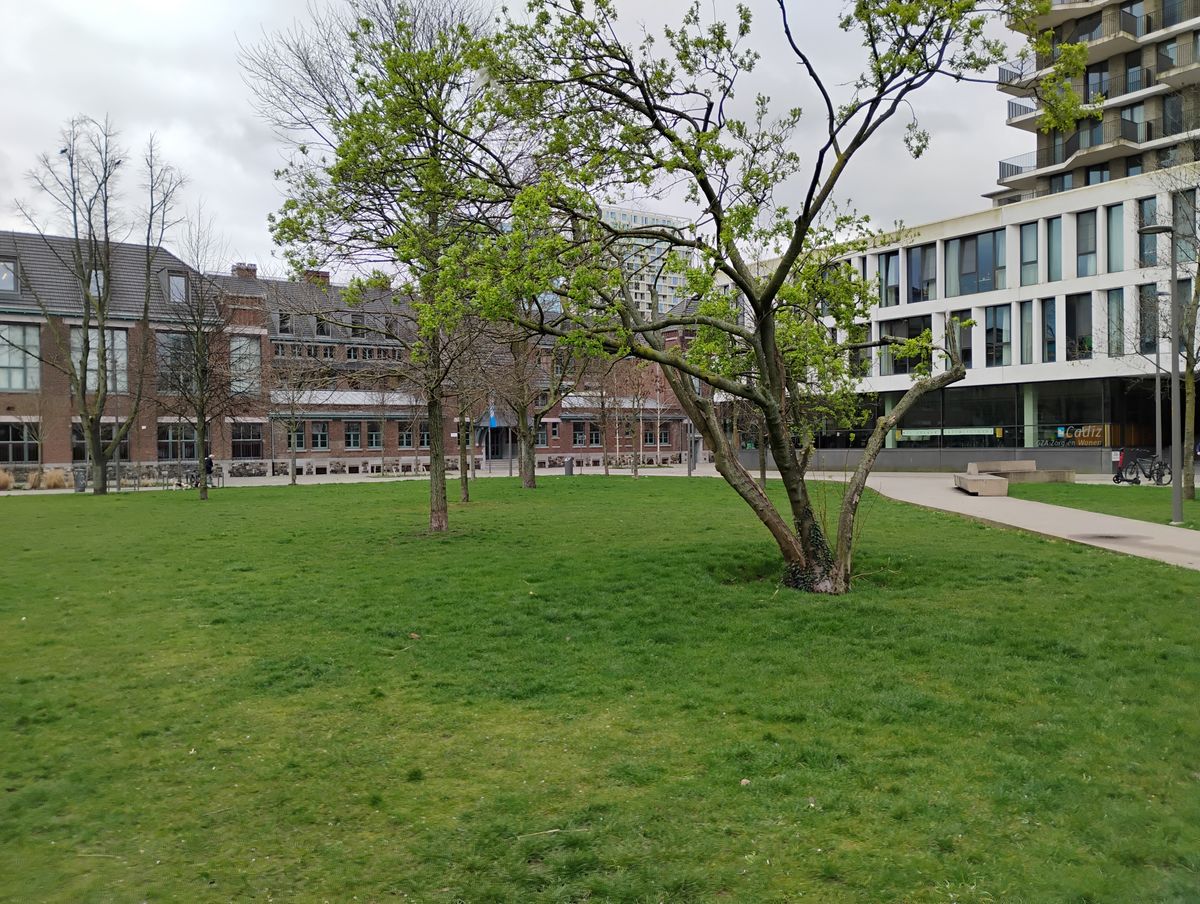 Motorola moto g34 cameravoorbeeld