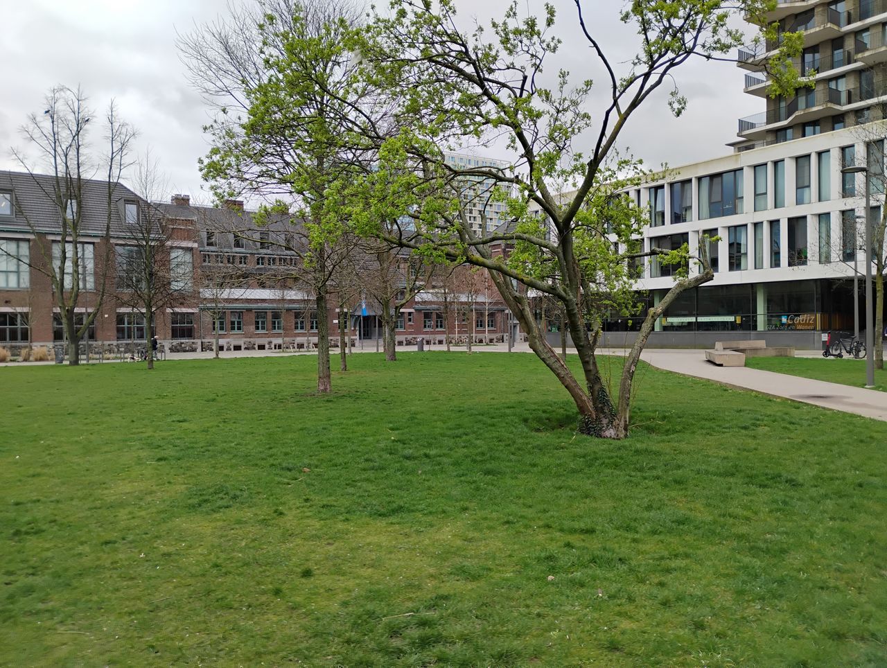 Motorola moto g34 cameravoorbeeld