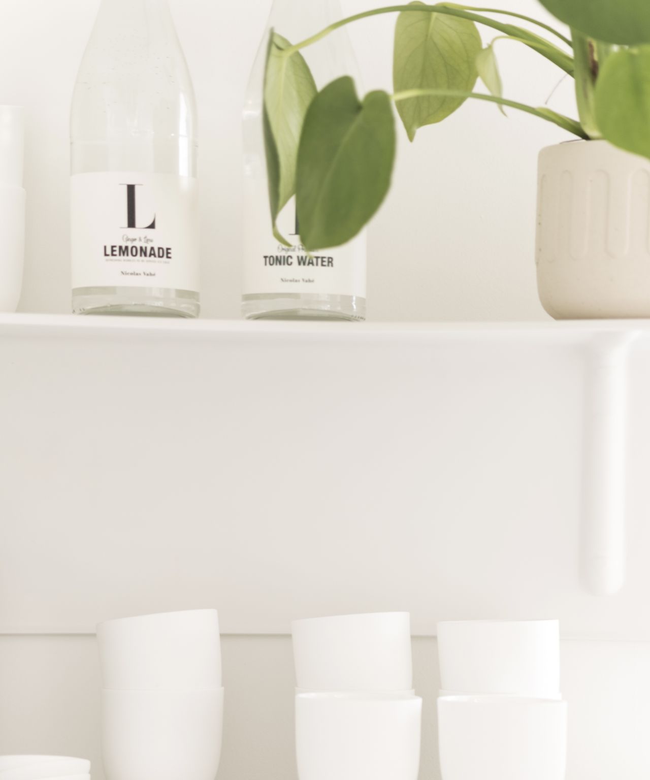 Minimale groene plant in de Nederlandse keuken