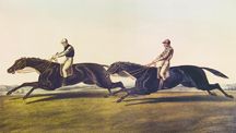 derby_p8nib.jpg