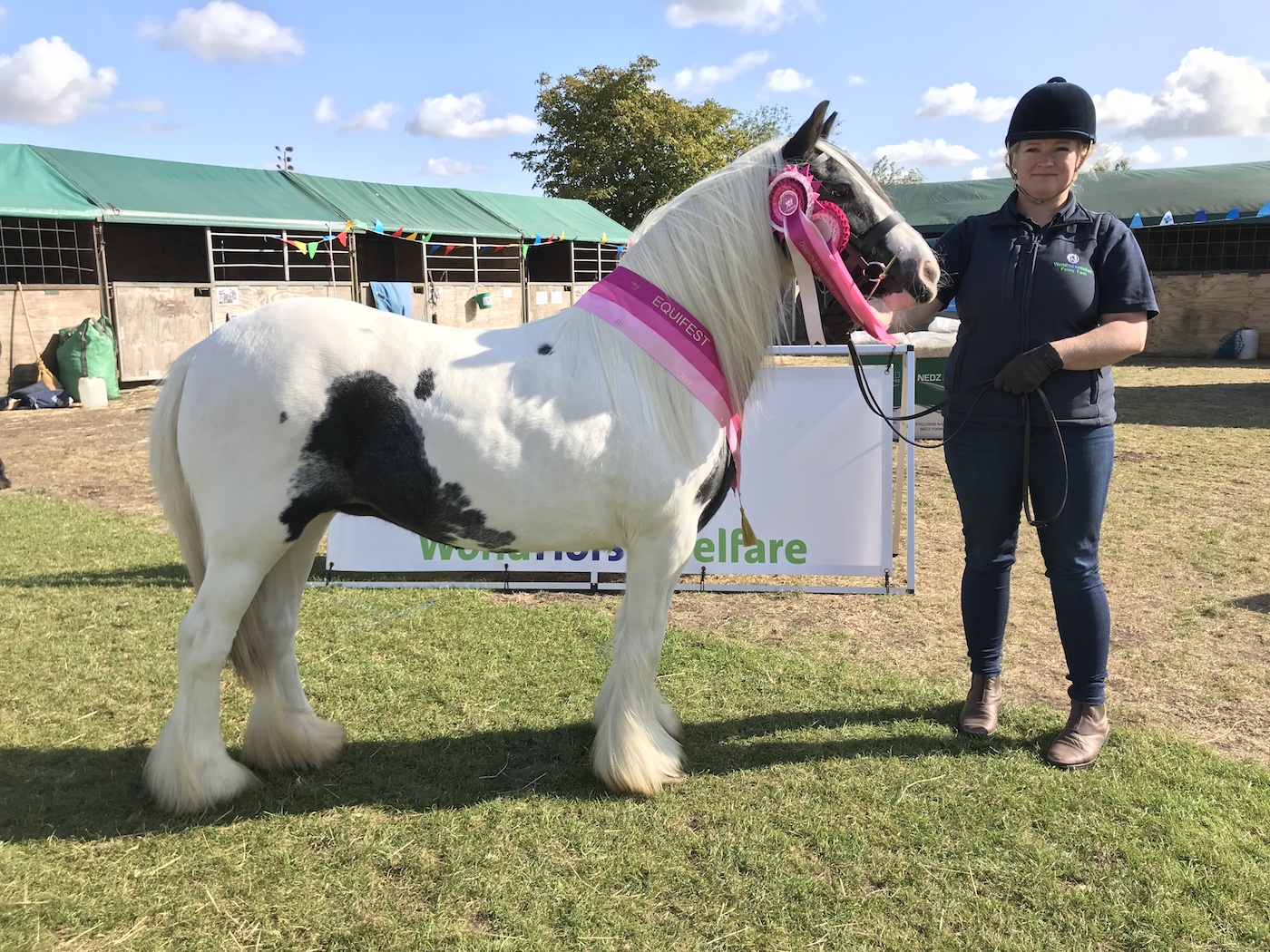 Buttercup-winning-at-Equifest_World-Horse-Welfare.jpeg
