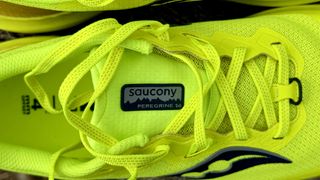 Saucony Peregrine 14