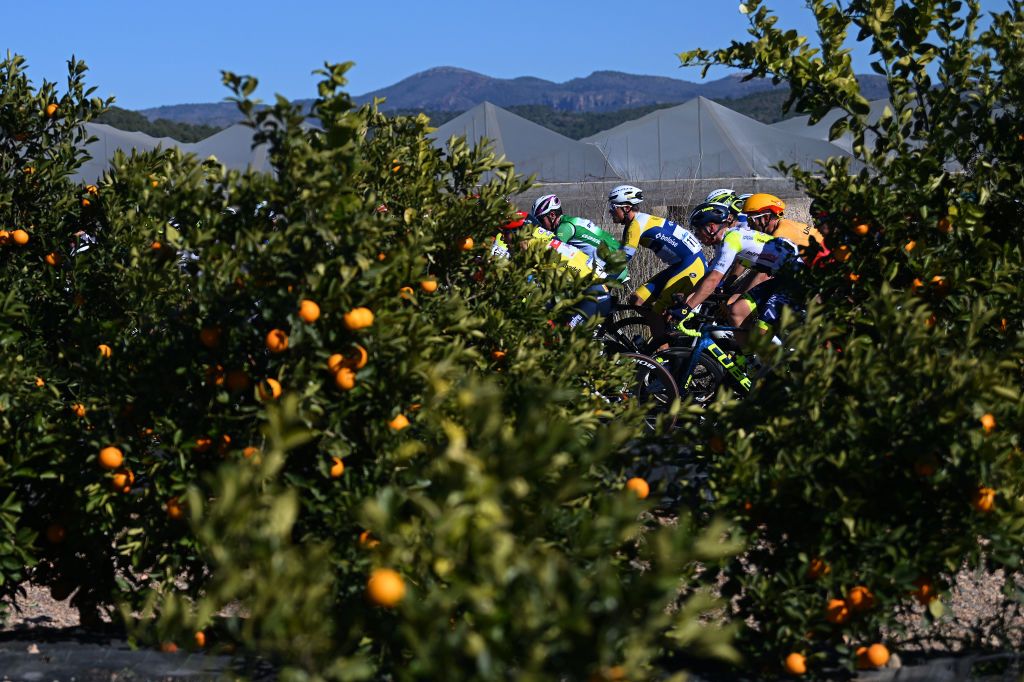 SAGUNTO SPAIN FEBRUARY 03 Ward Vanhoof of Belgium and Team Flanders Baloise competes passing through a orange trees landscape during the 74th Volta a la Comunitat Valenciana 2023 Stage 3 a 1451km stage from Btera to Sagunto VCV2023 VoltaValenciana on February 03 2023 in Sagunto Spain Photo by Dario BelingheriGetty Images