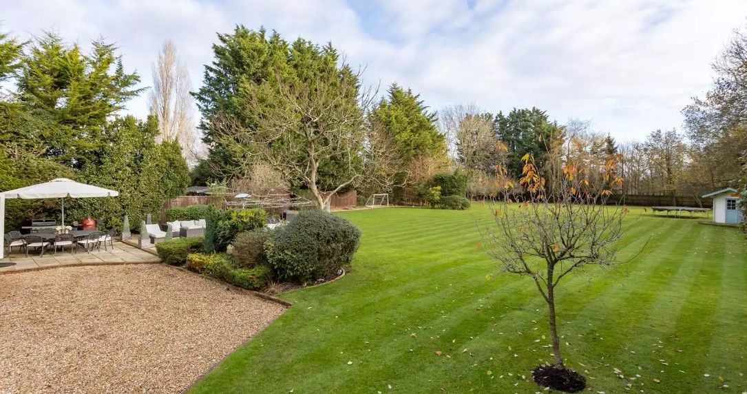 The garden includes a trampoline and a variety of trees