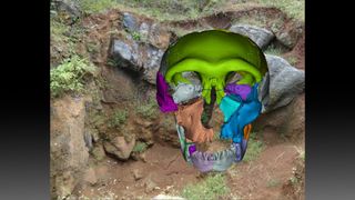Computer generated hualongdong Middle Pleistocene human skull