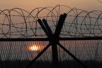 Barbed wire near the DMZ.