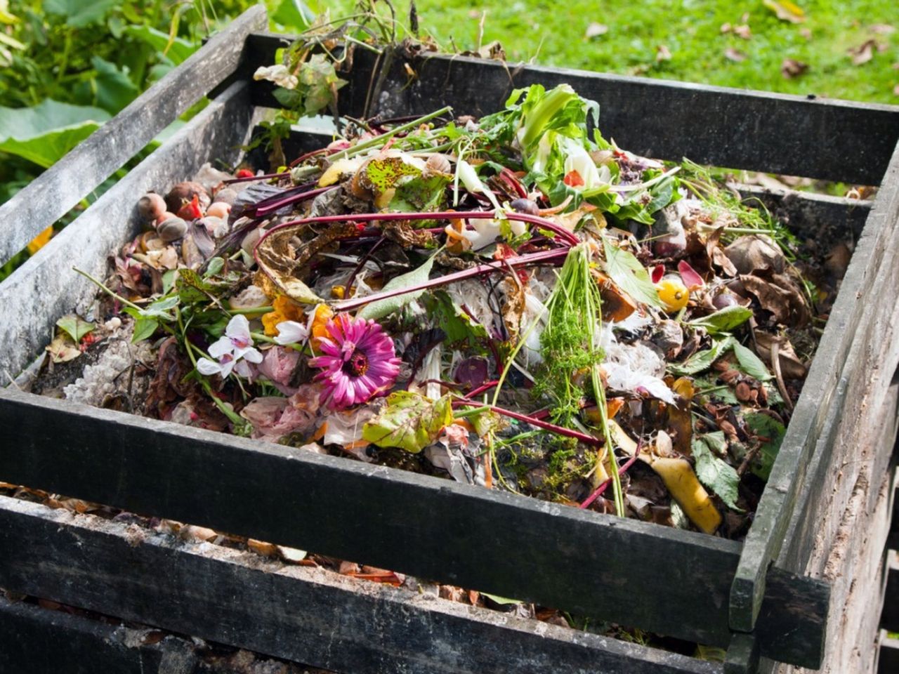 Compost Tea Bin