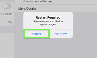 iPadOS 14 developer beta installation step 13
