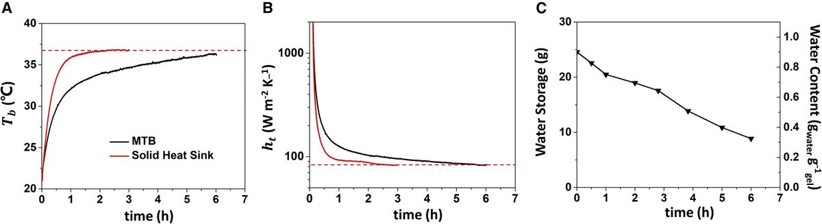 Hydrogel passive cooling