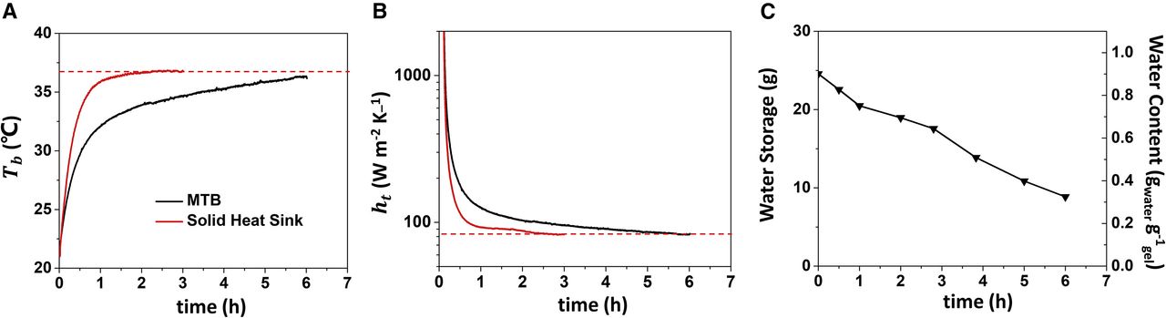 Hydrogel passive cooling