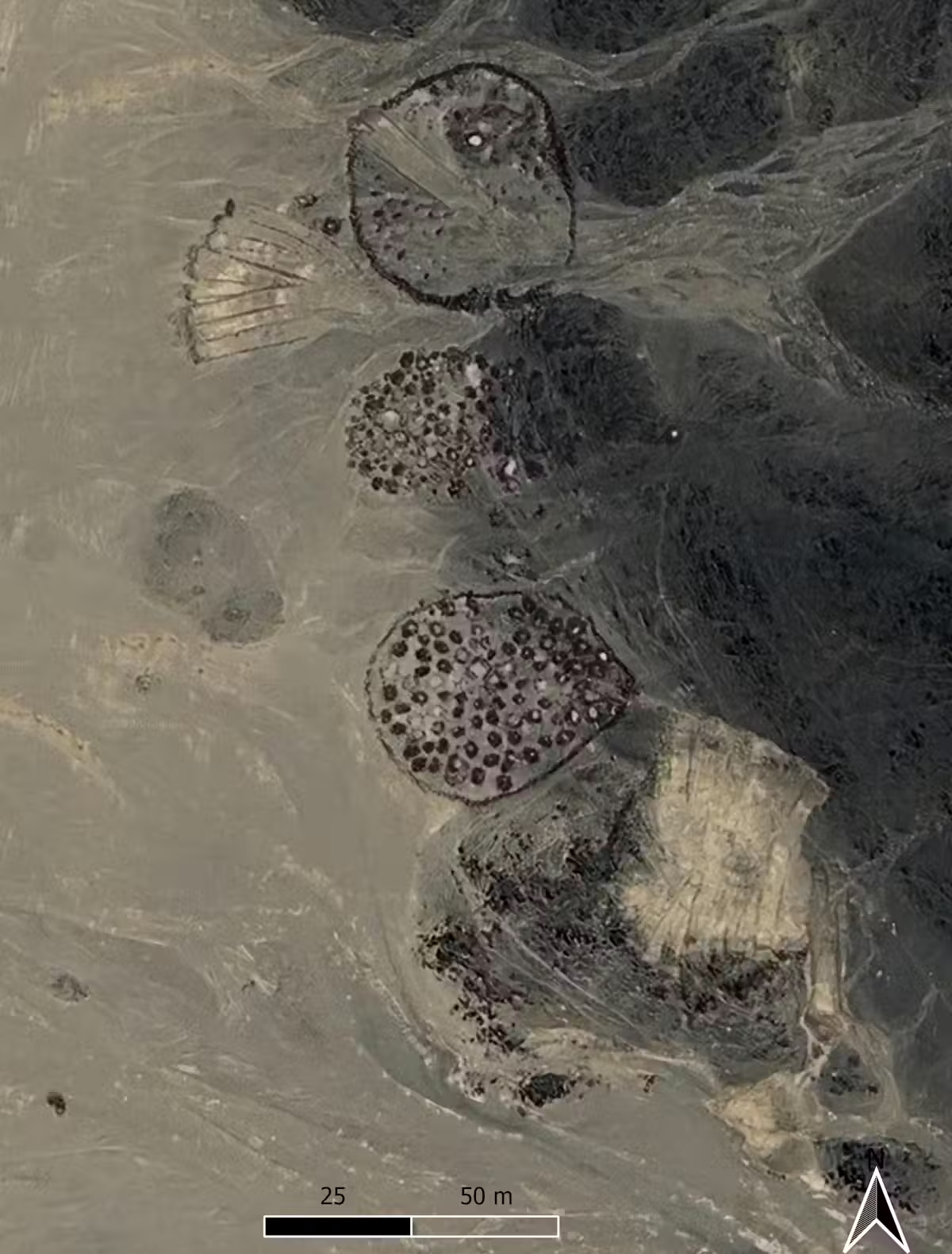 An aerial view of circular clusters of mass graves in a desert.