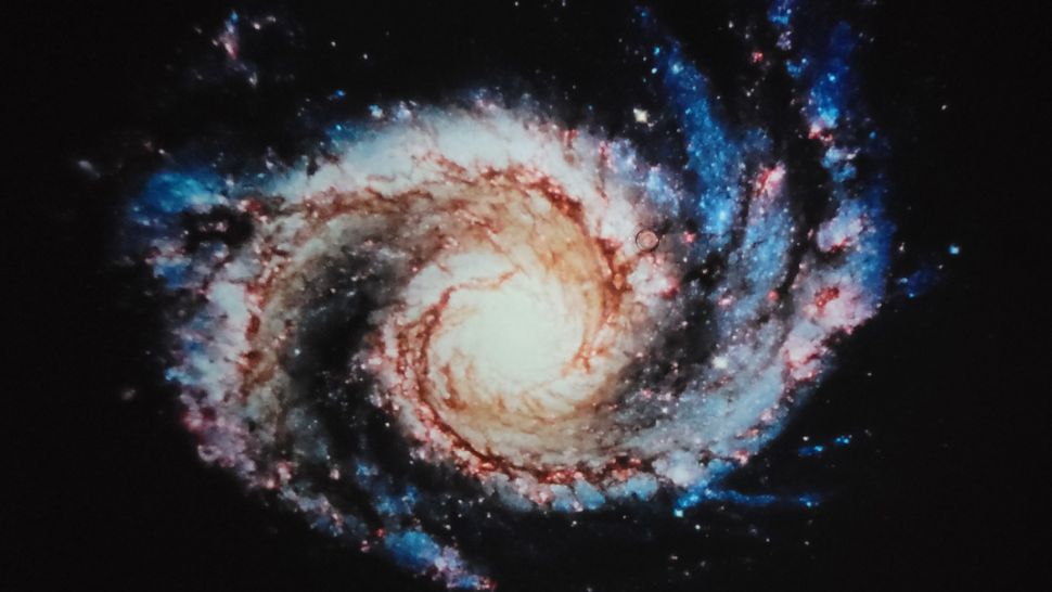 Pococo Galaxy star projector review | Space
