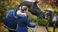 Valegro-TN.jpg