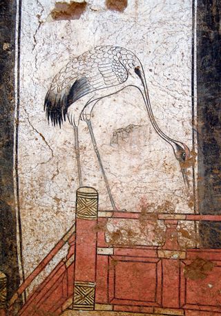 A close-up of one of the cranes found on the north wall of the tomb. The colors and details of the bird are remarkably well preserved.