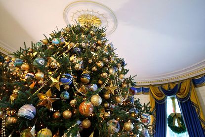 The White House Christmas tree stands in the Blue Room