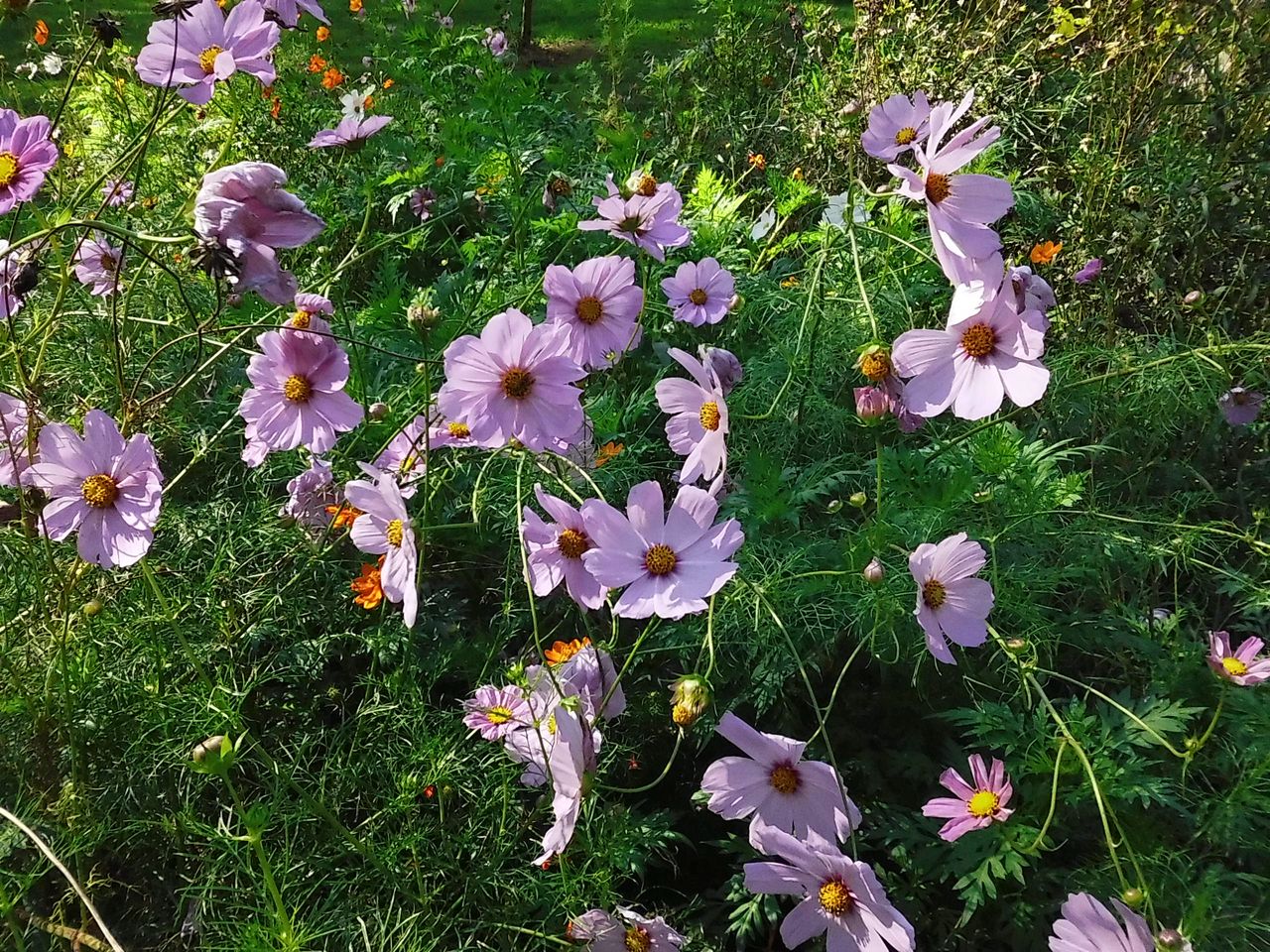 A sample image taken with the Instax Mini LiPlay+